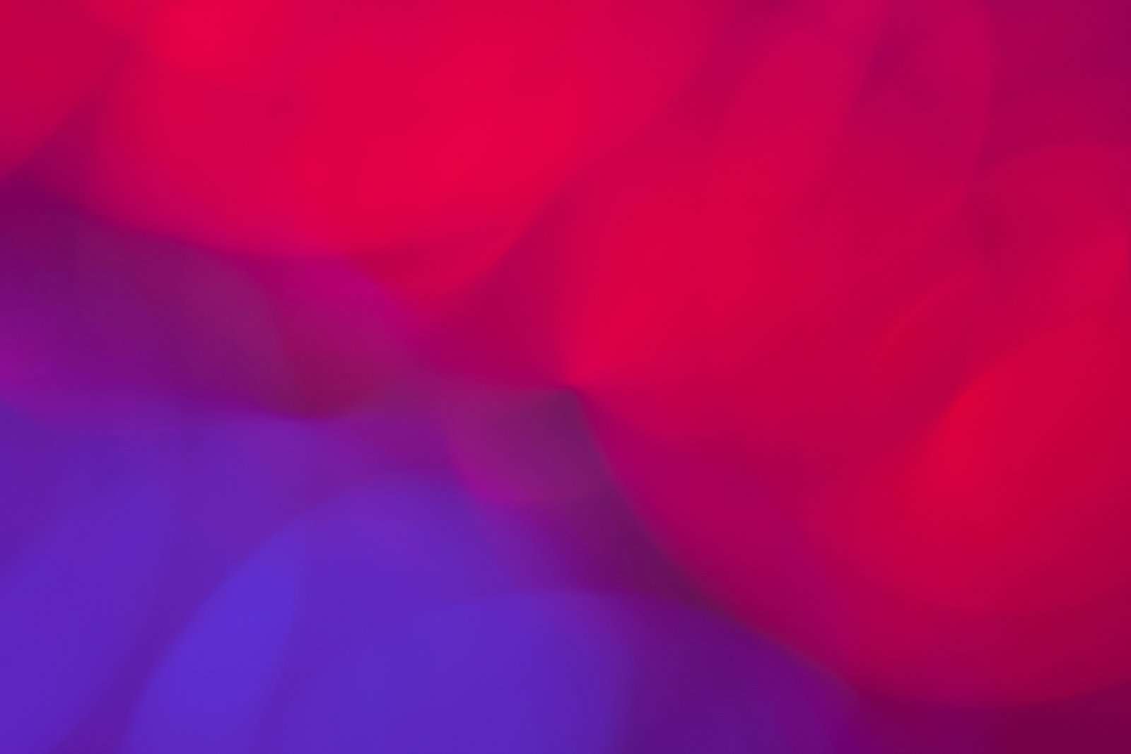 Beauty 1 vs Beauty 2